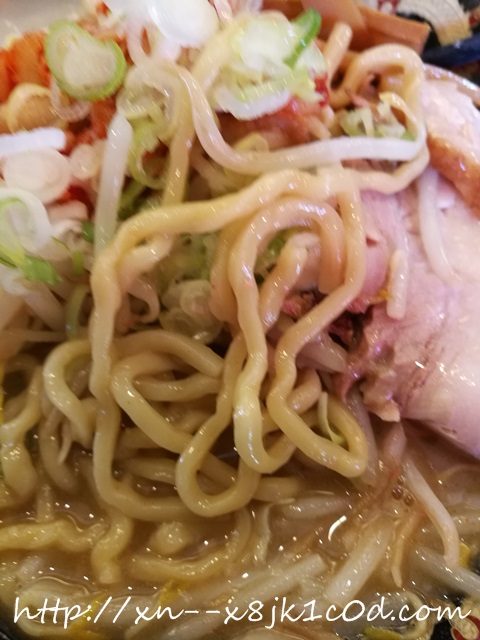 ガチブタ太麺