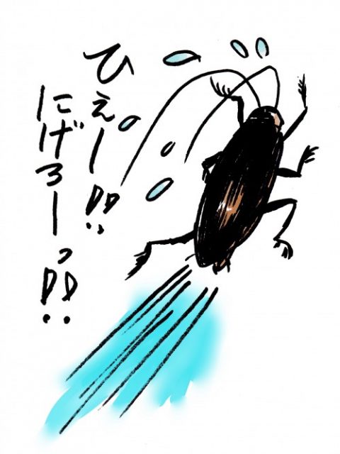 ゴキブリ根絶